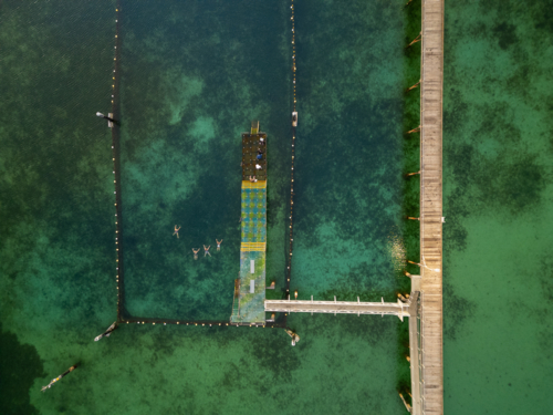 Ceduna jetty - Australian Stock Image