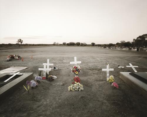 Cemetery with wooden crosses and flowers - Australian Stock Image