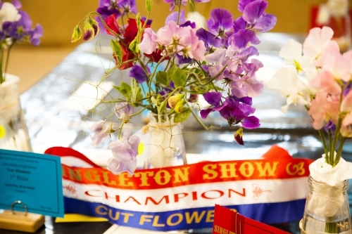 Champion cut flower exhibit at the show with ribbon