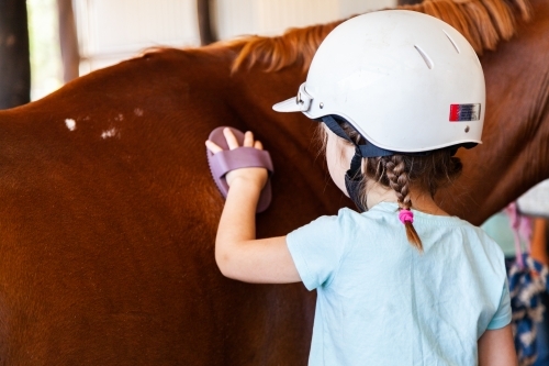 Child brushing down brown horse in shed - Australian Stock Image