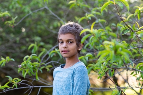 child standing in old orchard of fruit trees with green leaves - Australian Stock Image