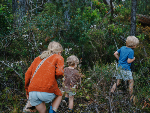 Children exploring Australian Bushland - Australian Stock Image