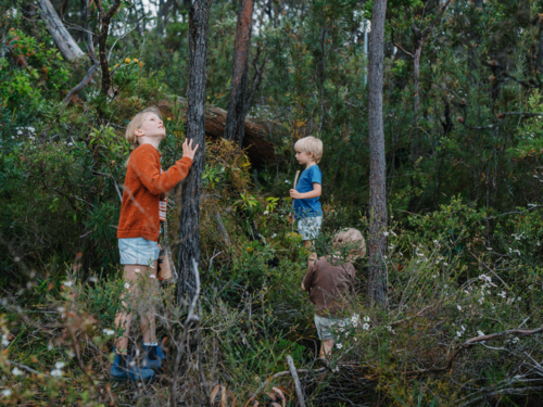 Children exploring Australian Bushland - Australian Stock Image