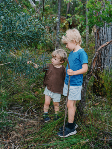 Children exploring Australian Bushland - Australian Stock Image