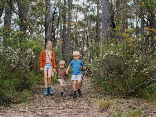 Children exploring Australian Bushland walking down trail together - Australian Stock Image