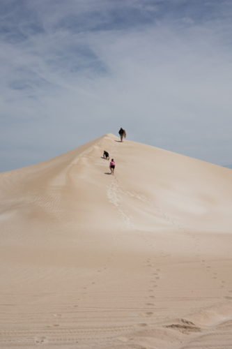 Children running up sand dune at Fowlers Bay - Australian Stock Image