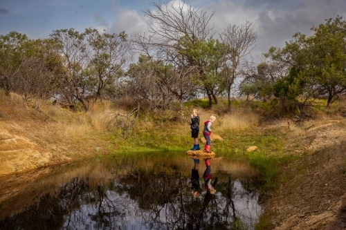 Children using nets to catch tadpoles in dark freshwater hole - Australian Stock Image