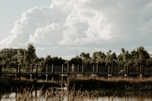 Children walk along a boardwalk in a nature reserve park - Australian Stock Image