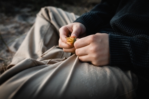 childs hand holding a yellow flower - Australian Stock Image