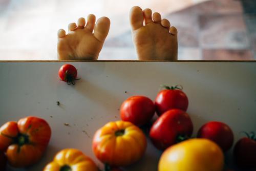 Childs toes on a bench with tomatoes in foreground