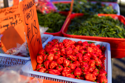 chilis and other produce for sale at the markets - Australian Stock Image