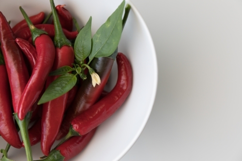 Chillies In A White Bowl - Close Up - Australian Stock Image