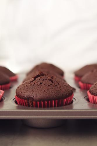 Chocolate cupcakes in tray with clear space above - Australian Stock Image