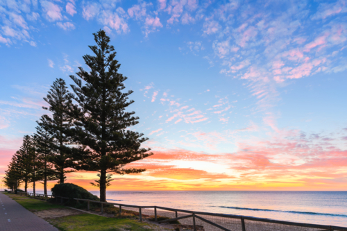 Christies beach with pine trees viewed from the Esplanade at sunset , South Australia - Australian Stock Image