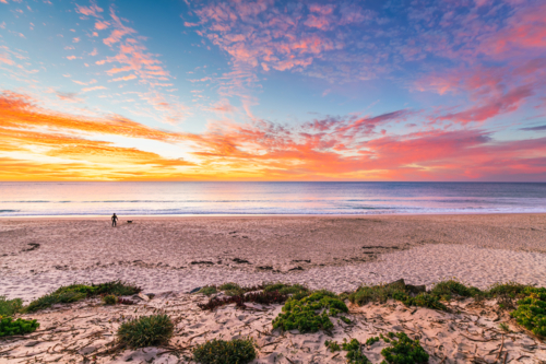 Christies beach with silhouette of a surfer with surfing board and a dog at sunset - Australian Stock Image