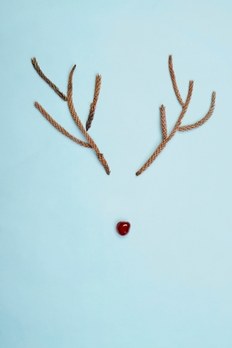 Christmas rudolf reindeer rustic antlers and cherry nose on blue