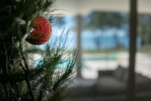 Christmas tree decoration in the summer with pool and lake in background - Australian Stock Image