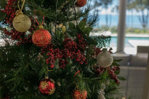 Christmas tree decoration in the summer with pool and lake in background - Australian Stock Image