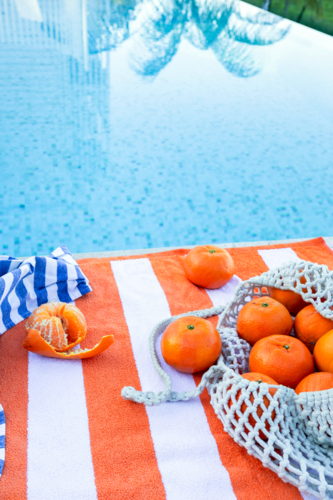 Citrus by the Pool - Australian Stock Image