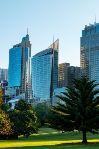 city skyline from botanic gardens - Australian Stock Image