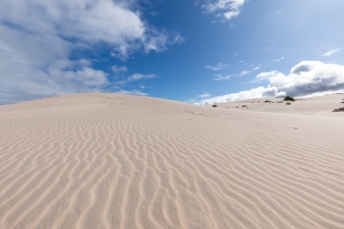 clean white sand dune under blue sky - Australian Stock Image