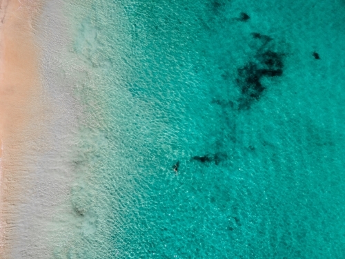 Clear aqua water against sandy shore - aerial view - Australian Stock Image