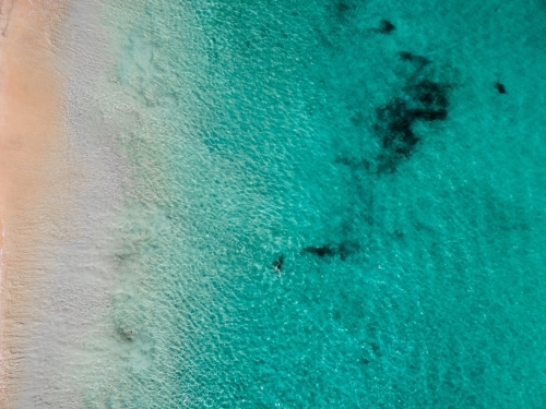 Clear aqua water against sandy shore - aerial view