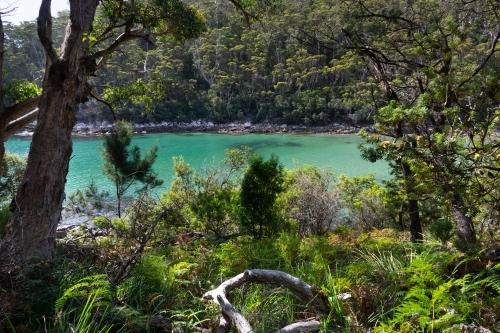 Clear water of Denman's Cove surrounded by bush - Australian Stock Image