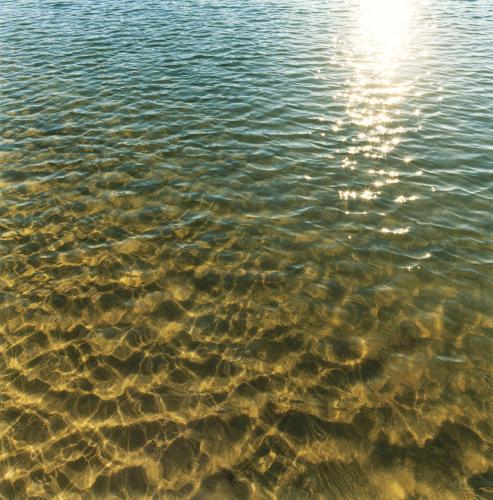 Clear water with sandy bottom and sun reflection