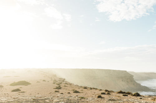 cliff tops covered in sea mist at sunrise on Eyre Peninsula - Australian Stock Image