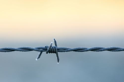 Close up image of barbed wire fence on frosty winter morning - Australian Stock Image