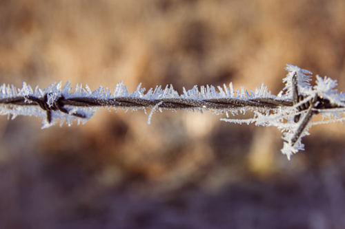 Close up image of frozen barbed wire fence on a frosty winter’s morning - Australian Stock Image