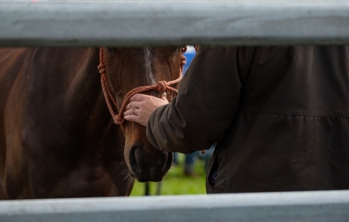 Close up of a woman with her hand on the horse's nose in a horse yard
