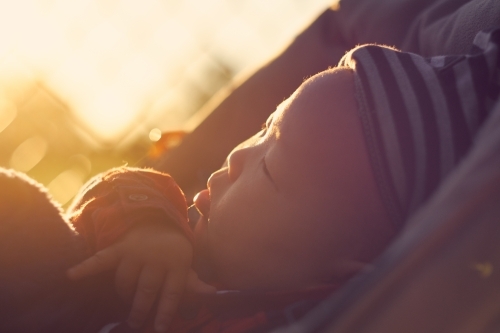 Close up of baby lying in a pram in golden light - Australian Stock Image