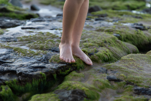 Close-up of bare feet standing on wet, moss-covered rocks near the shoreline - Australian Stock Image