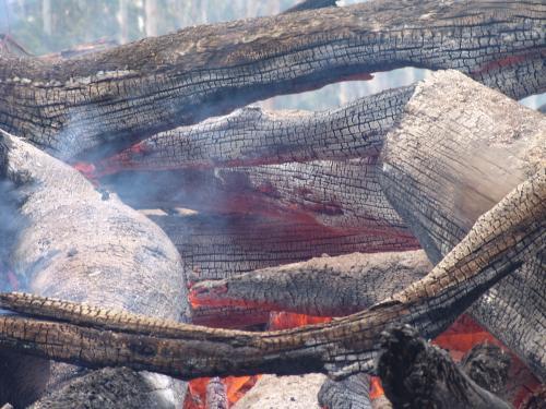 Close up of burning logs in a fire - Australian Stock Image