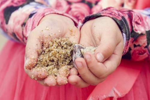 Close up of childs hands holding sand and shells