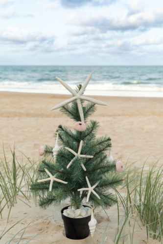 Close up of Christmas tree with starfish, shell ornaments in sand dunes with ocean and blue sky - Australian Stock Image