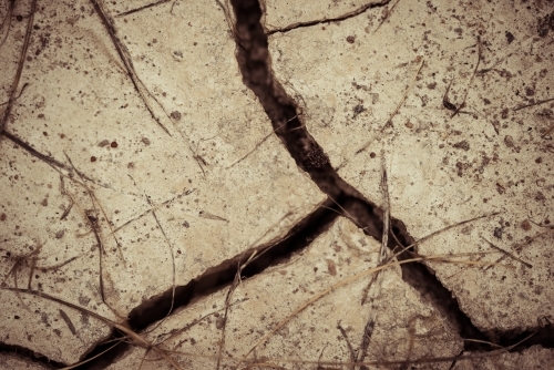Close-up of cracked earth