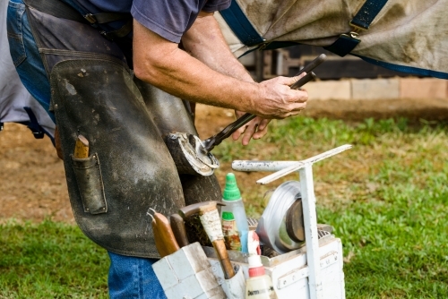 Close up of farrier shoeing a horse - Australian Stock Image