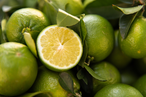 Close‑up of fresh green limes piled together with one lime cut in half - Australian Stock Image