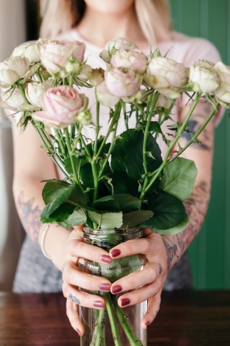 Close up of gorgeous pink vintage styled roses held by a female - Australian Stock Image