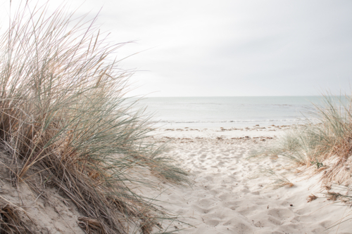 Close up of grasses and footprints on sand with beach in background - Australian Stock Image