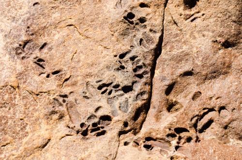 Close up of hollows and patterns in cracked pale orange rock - Australian Stock Image