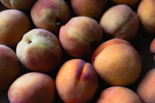 Close up of home grown fuzzy freshly picked ripe peaches in natural light - Australian Stock Image