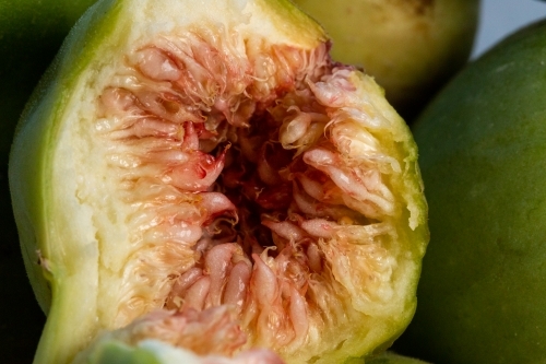 close up of inside of ripe fresh fig - Australian Stock Image