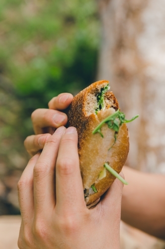 Close up of male hands holding bread roll sandwich, on log in green park - Australian Stock Image