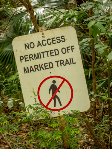 Close up of no access sign in green rainforest plants - Australian Stock Image