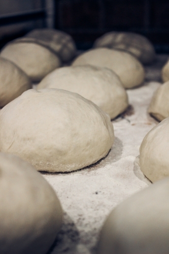 Close up of organic white sourdough pizza bases resting after being shaped - Australian Stock Image