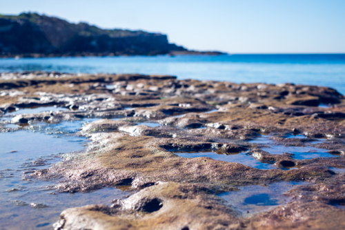 close up of rock formation close-up at Little Bay beach - Australian Stock Image